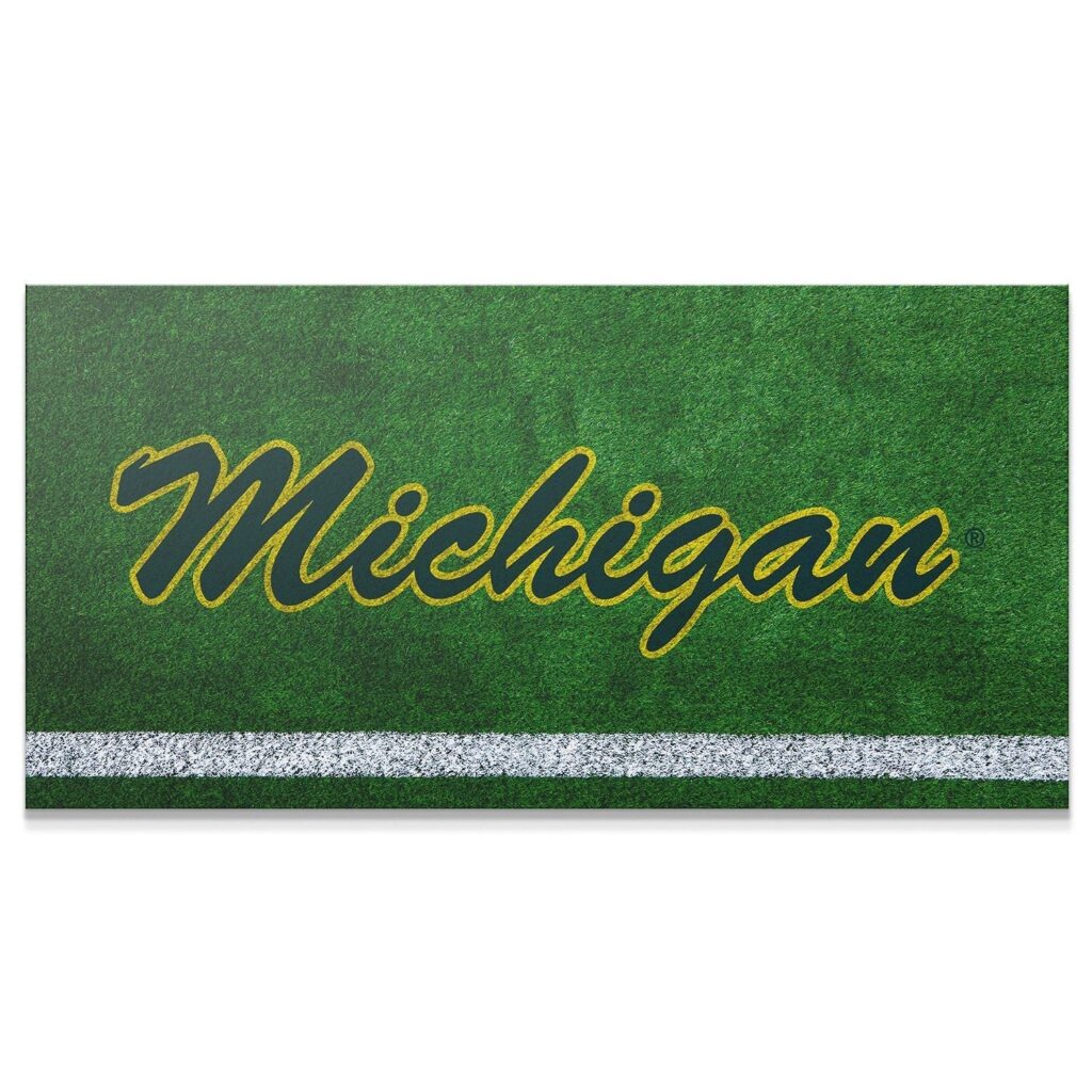 Michigan - Field Logo