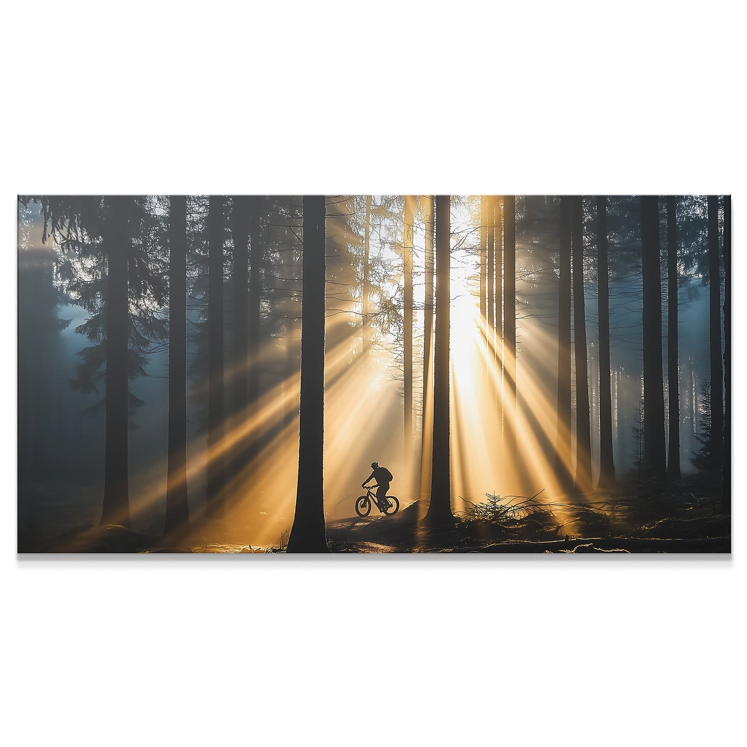 Mountain Bike - 1