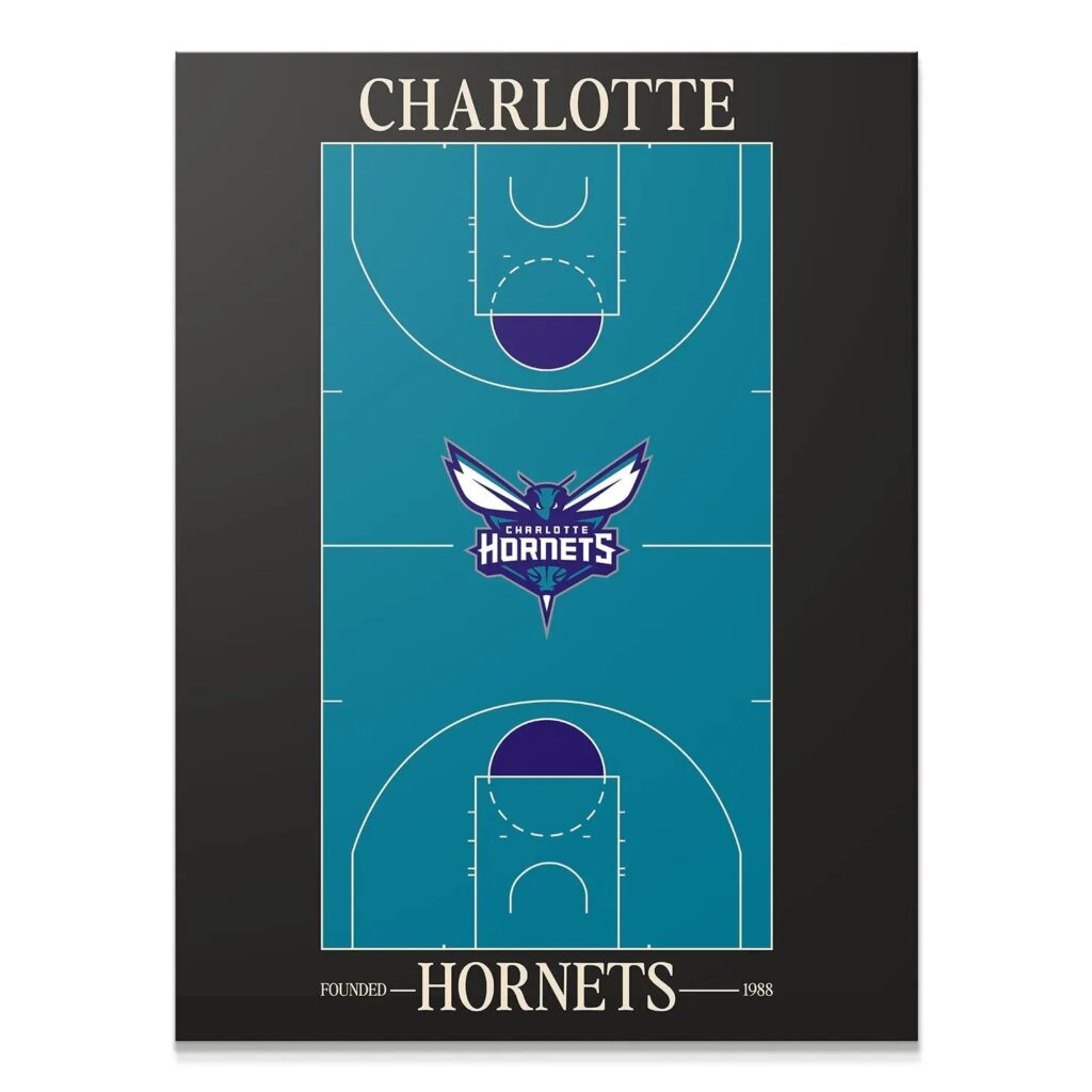 Top Court Design - Hornets