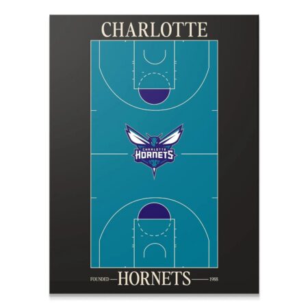 Top Court Design - Hornets - Premium NBA Basketball Canvas Wall Art by MasterPeaceWall