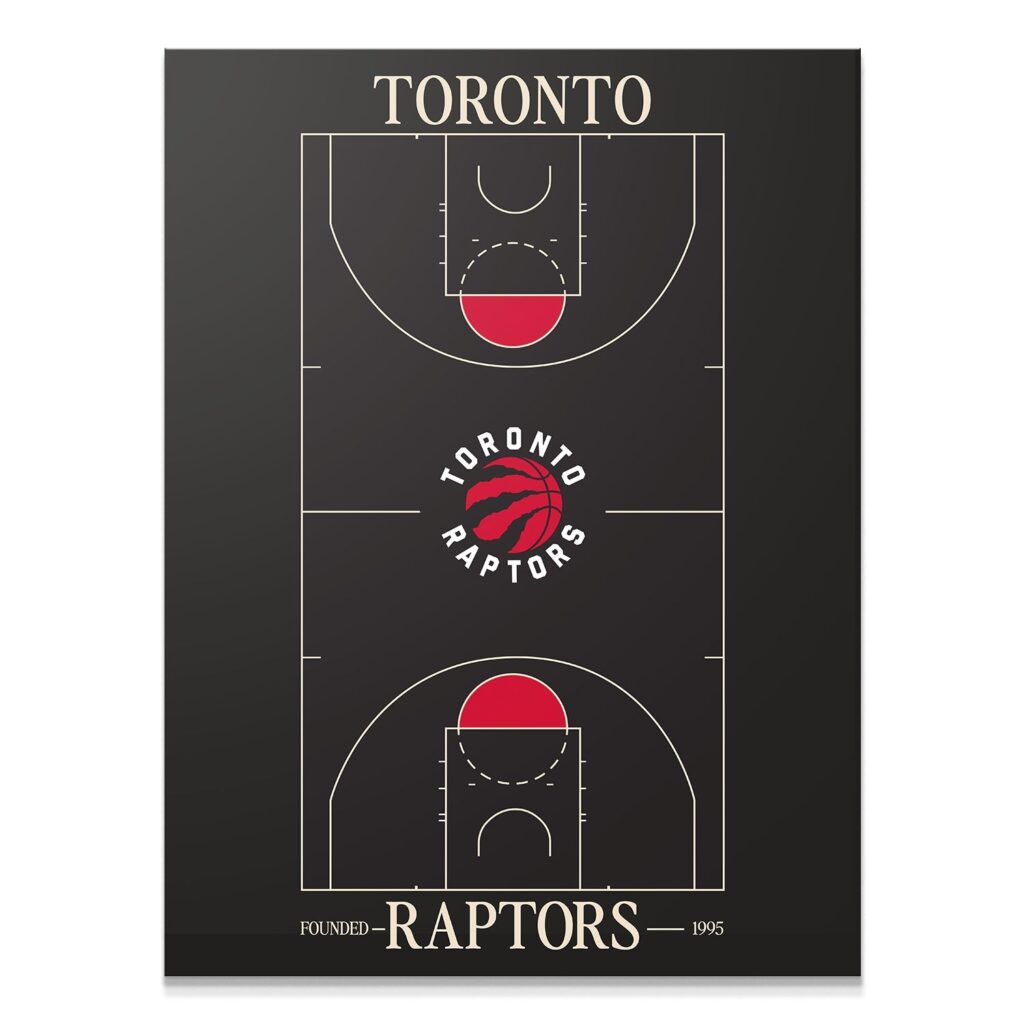Top Court Design - Raptors