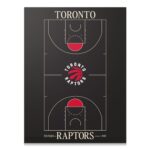 Top Court Design - Raptors