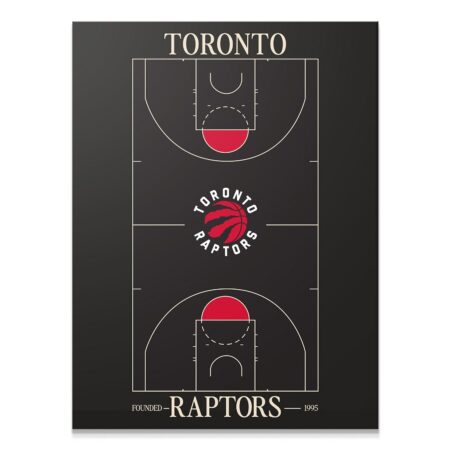 Top Court Design - Raptors