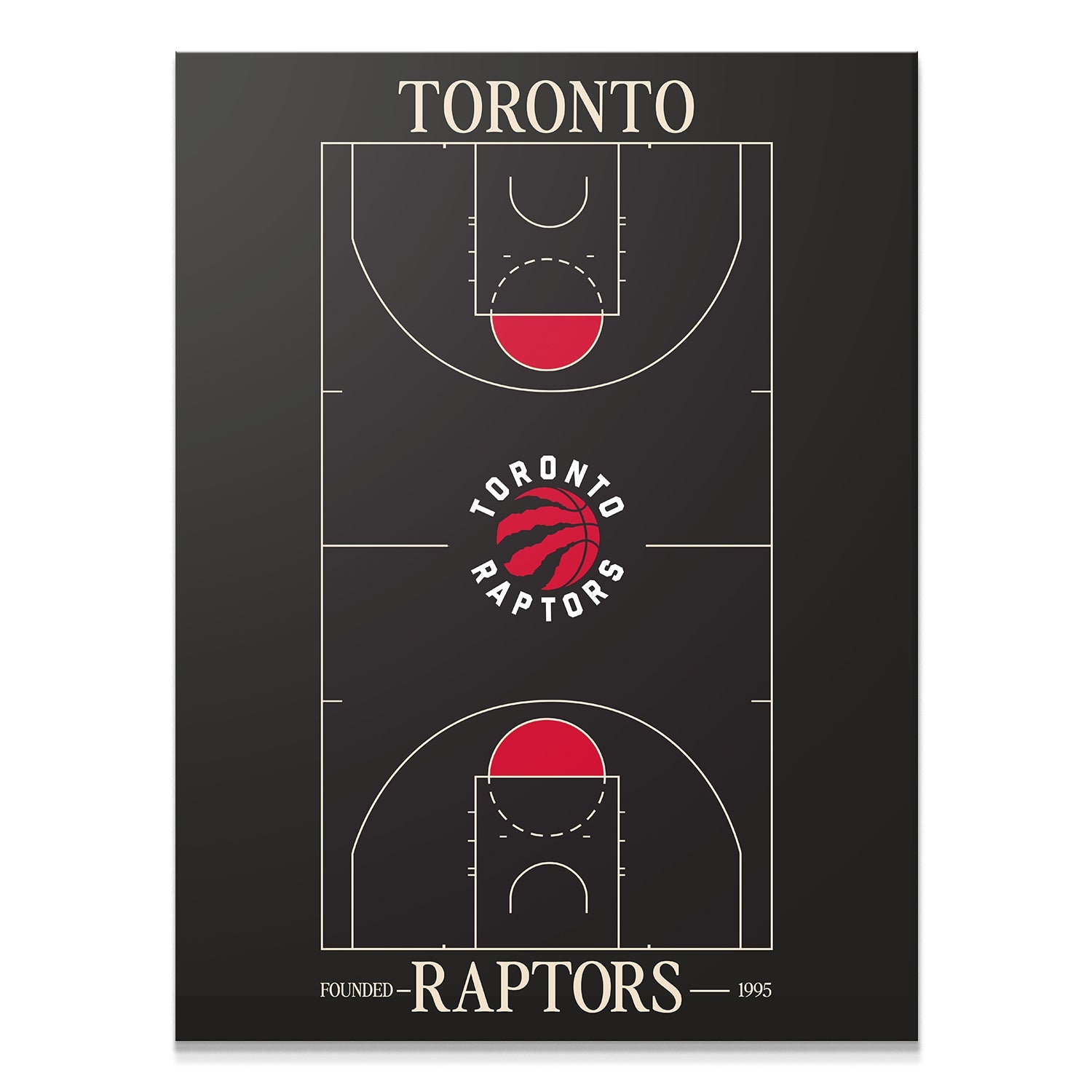 Top Court Design - Raptors