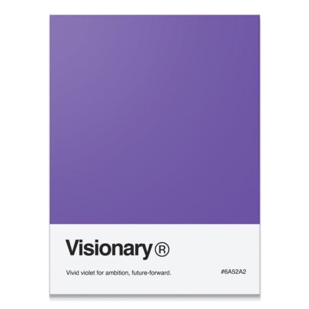 Visionary Palette