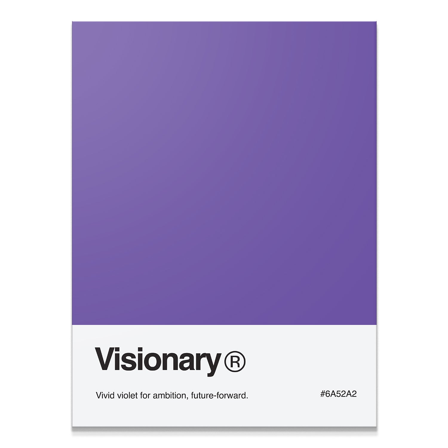 Visionary Palette