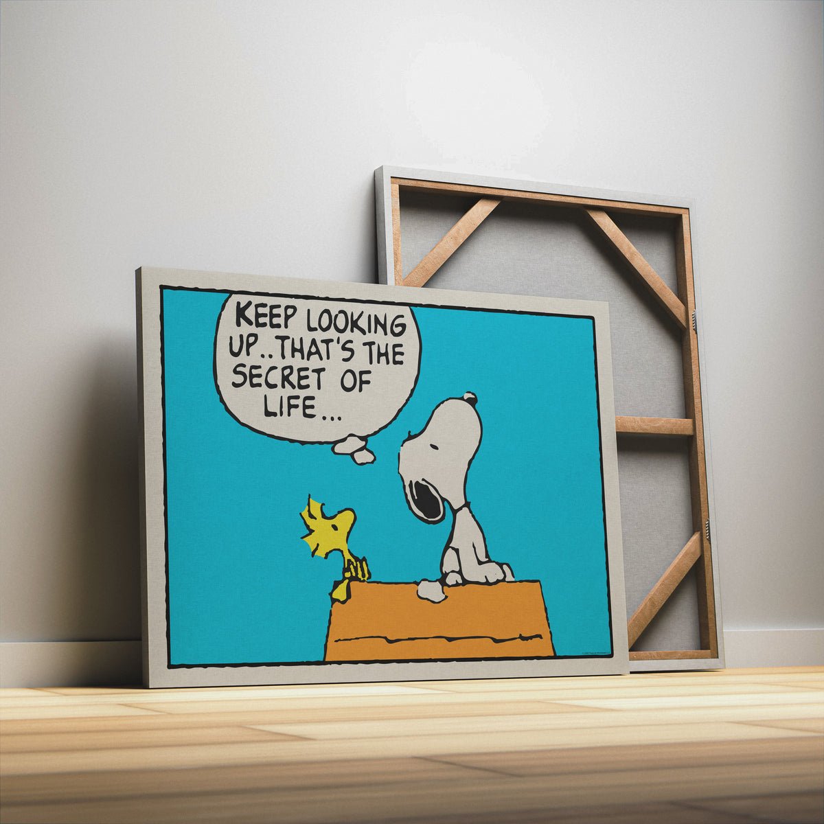 PEANUTS - Keep Looking Up - Image 6