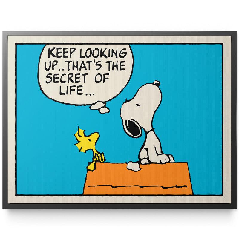 PEANUTS - Keep Looking Up - Image 2