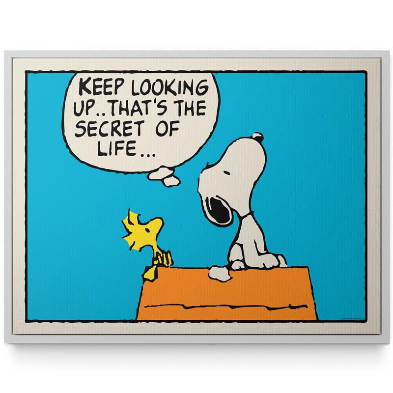 PEANUTS - Keep Looking Up - Image 3