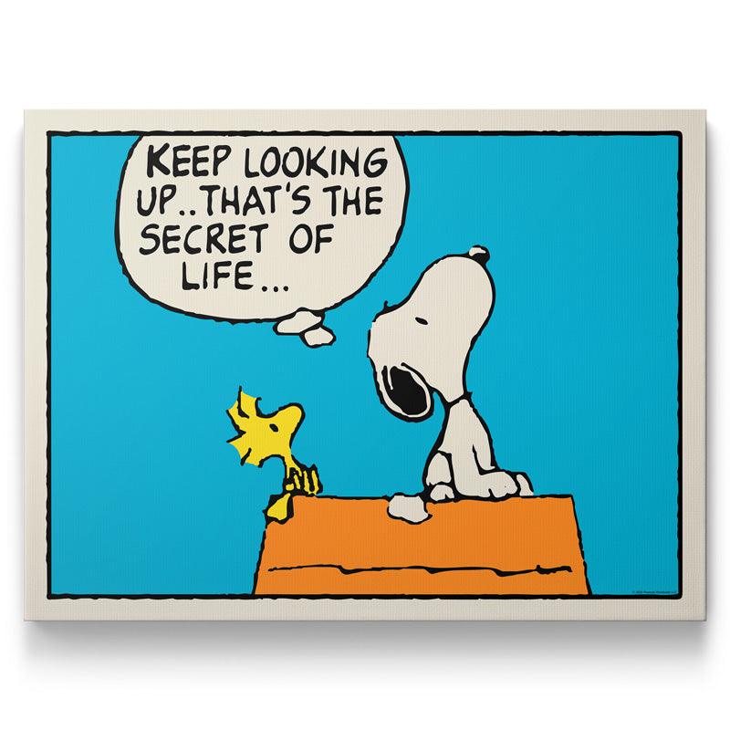 PEANUTS - Keep Looking Up