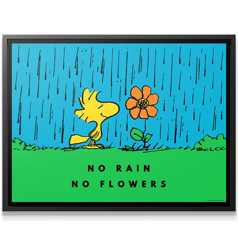 PEANUTS - No Rain No Flowers - Image 2