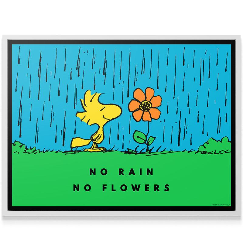 PEANUTS - No Rain No Flowers - Image 3