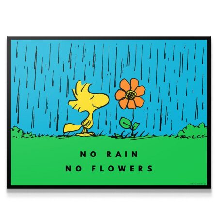 PEANUTS - No Rain No Flowers