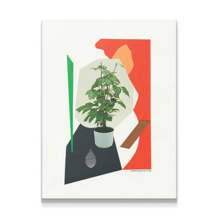 Plant Study