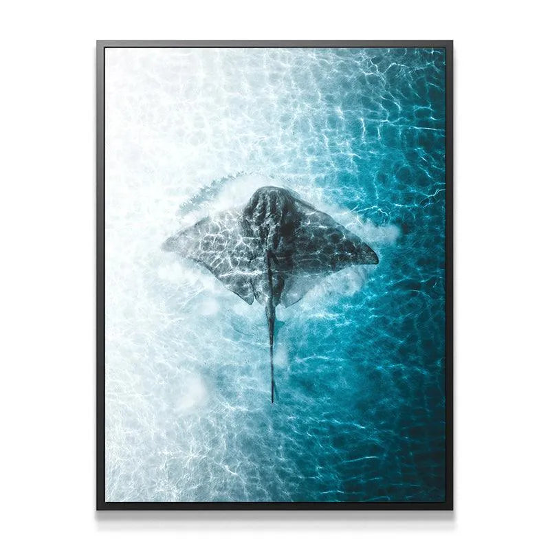 High-contrast texture shot emphasizing water ripples and the ray's dark skin for 'Ray Of The Day'.