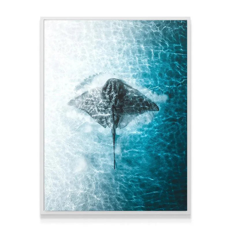 Teal and white abstract composition featuring the central stingray figure, known as 'Ray Of The Day'.