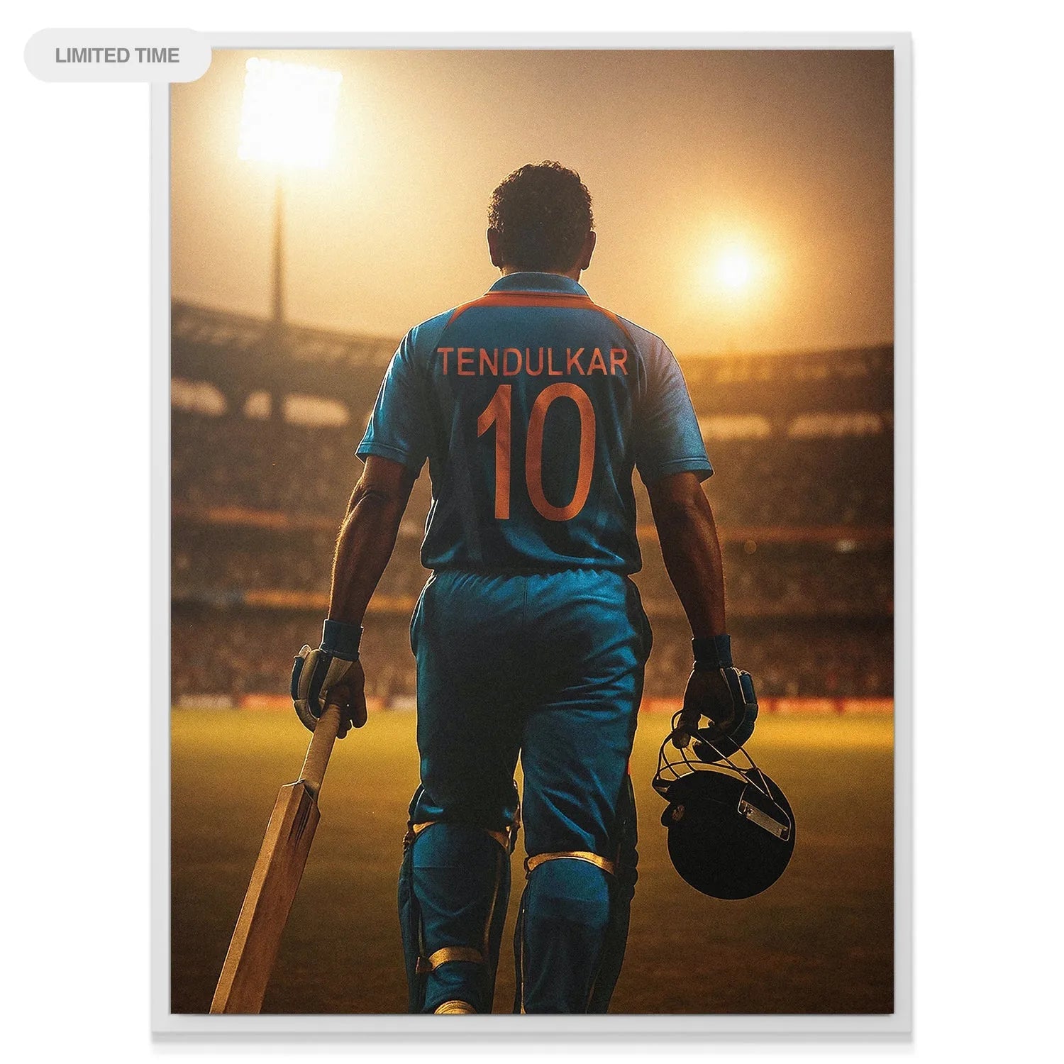 Foreground detail showing the texture of the wooden cricket bat and the gloved hand in the Sachin Tendulkar - Bright Lights scene.