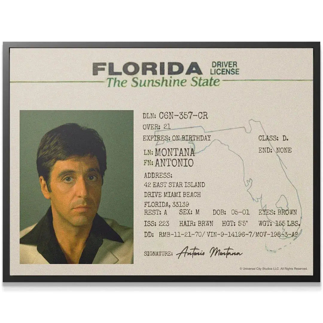 Full view of the aged, vintage-style Scarface - Sunshine State Florida Driver License artwork in high resolution.