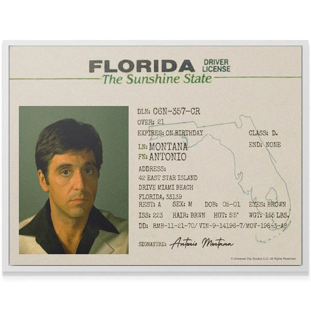 Detailed texture shot showing the printing quality and paper surface of the Scarface - Sunshine State collectible ID.