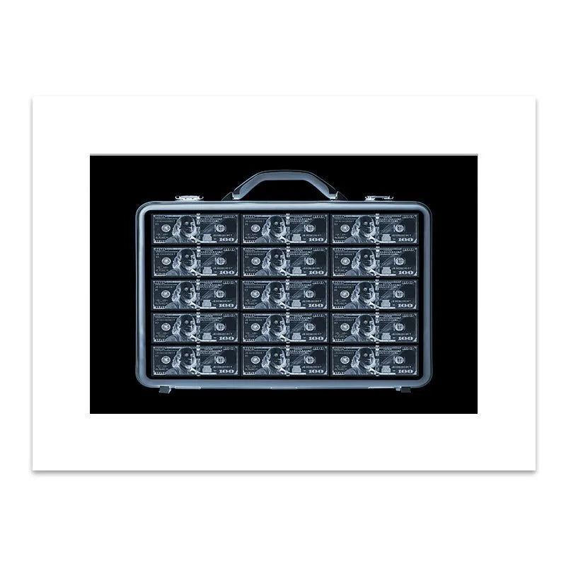 Wide shot of the security image artwork against a dark, minimalist background using Security X-RAY effects.