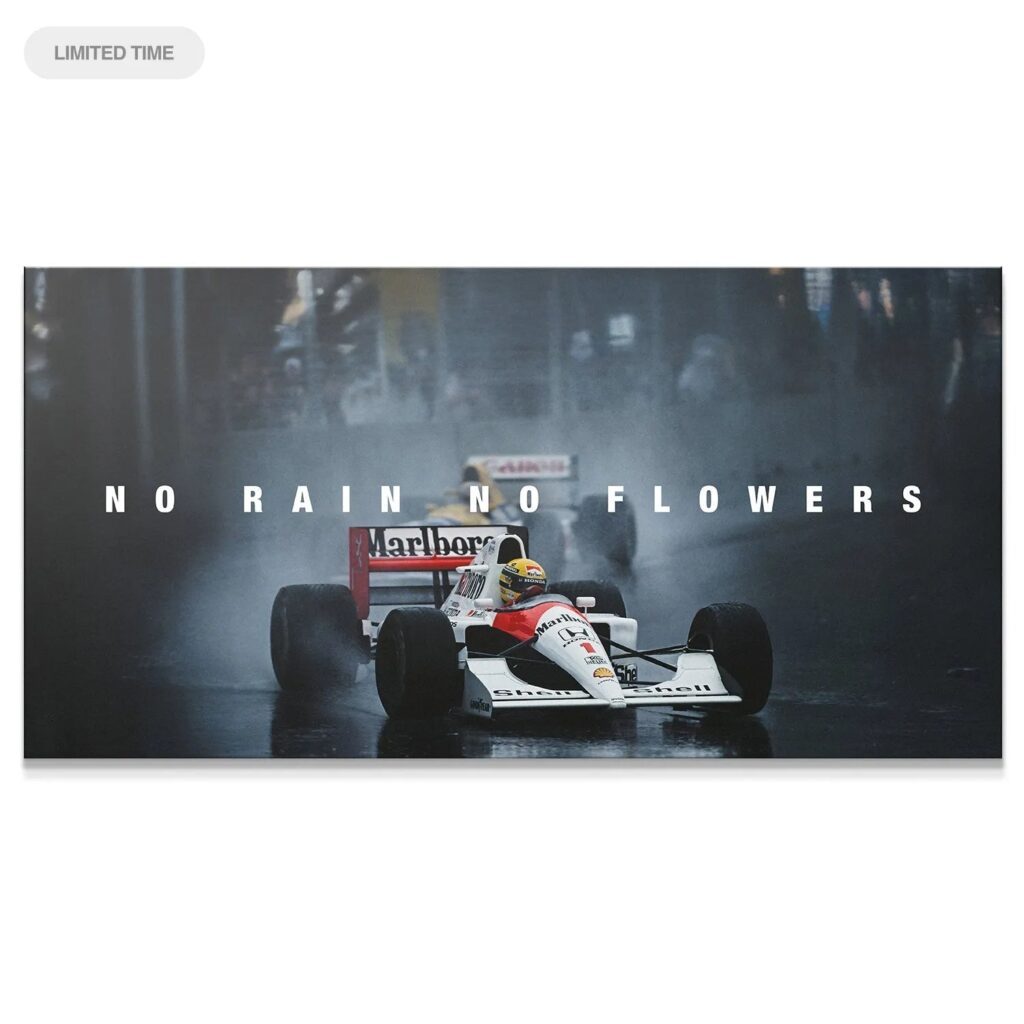 Senna - No Rain No Flowers