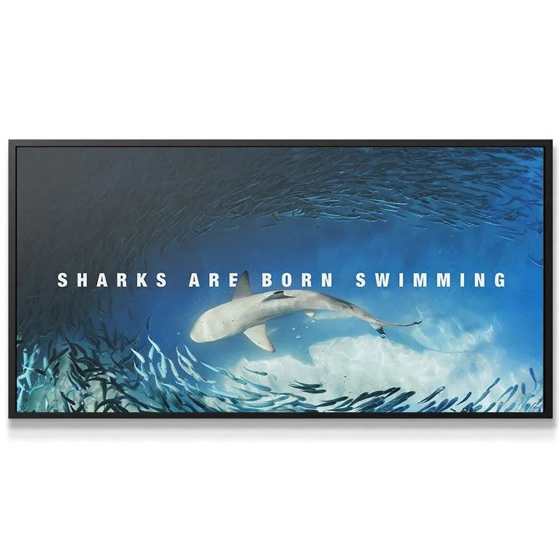 Underwater lifestyle view of the powerful shark beneath the surface light, reinforcing 'Sharks Are Born Swimming' motivation.