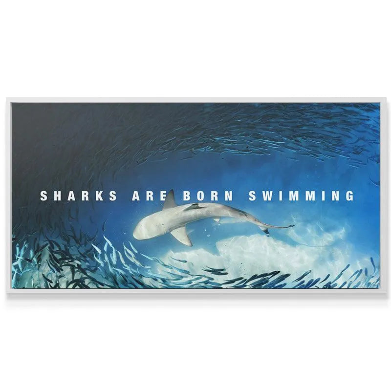 Close-up texture of the ocean water and baitfish surrounding the central shark image, highlighting 'Sharks Are Born Swimming'.