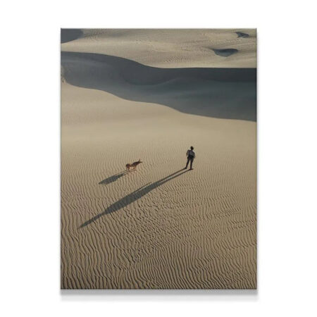 High-angle view of a person and dog traversing rippled sand dunes Side by Side.