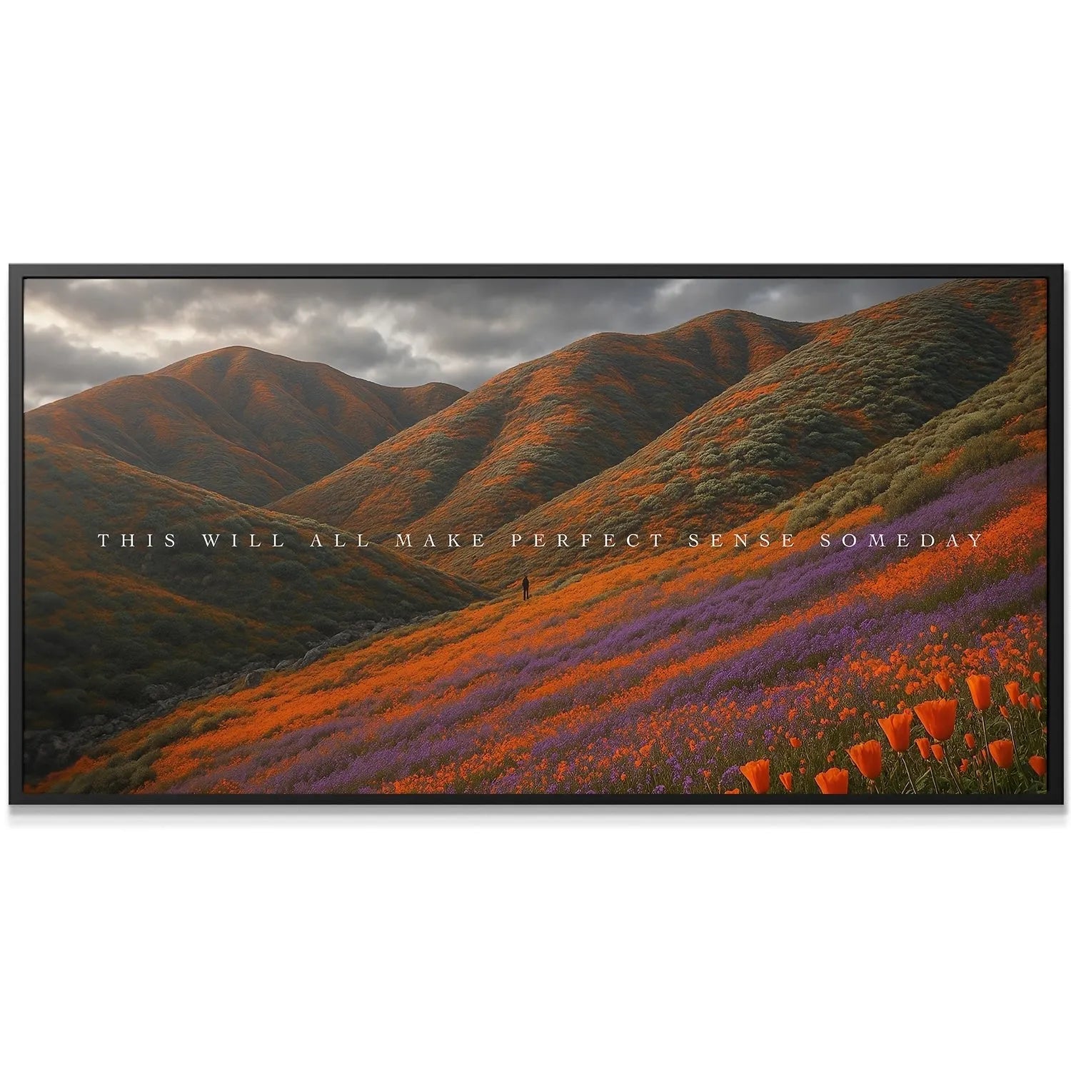 Detail of fiery orange California poppies in the foreground, reminding us that clarity comes Someday.