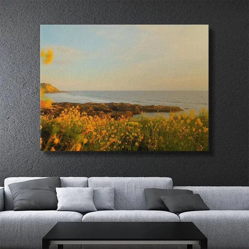 Coastal hillside covered in dense yellow bloom during the vibrant 'Spring Sunset'.