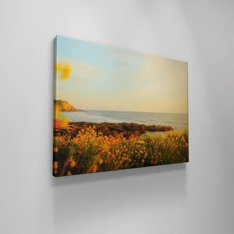 Low-angle perspective emphasizing the height of the foreground wildflowers in 'Spring Sunset'.