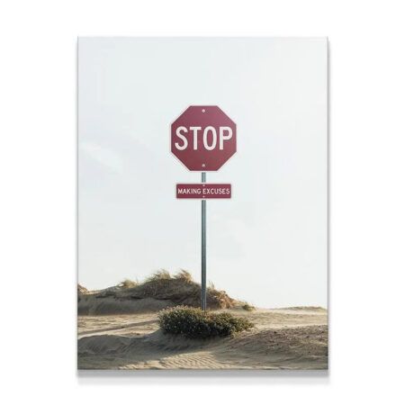 Motivational desert photo print featuring the instruction 'Stop Making Excuses' prominently displayed on a custom road sign.
