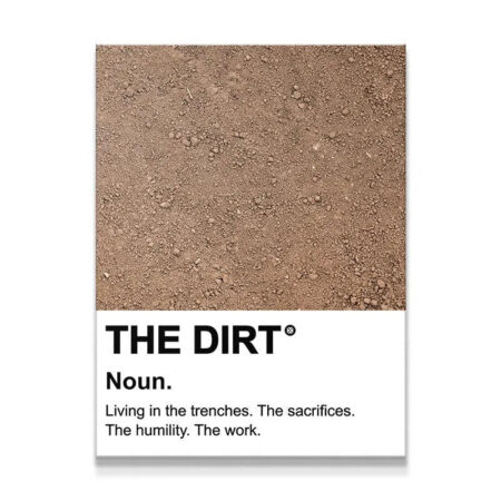 Close-up view of the granular texture featured in 'The Dirt' motivational poster.