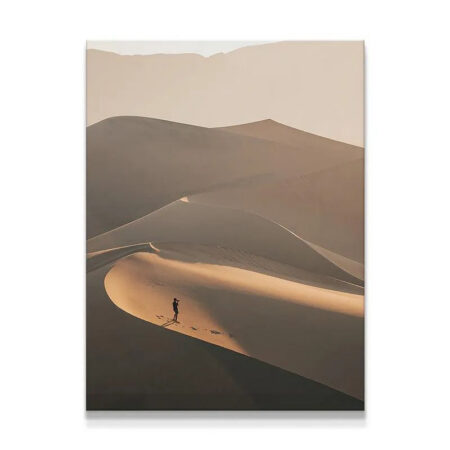 Full view of 'The Distant Viewer' showing the dramatic scale of desert dunes against a single person.