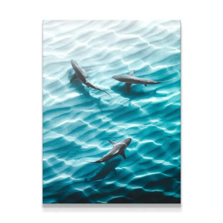 Overhead angle showing three gray sharks swimming through light-dappled turquoise water, titled 'The Hard Way'.