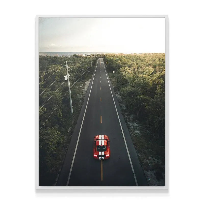 Textured asphalt road surface emphasizing the path taken during "The Journey" surrounded by dense green jungle.