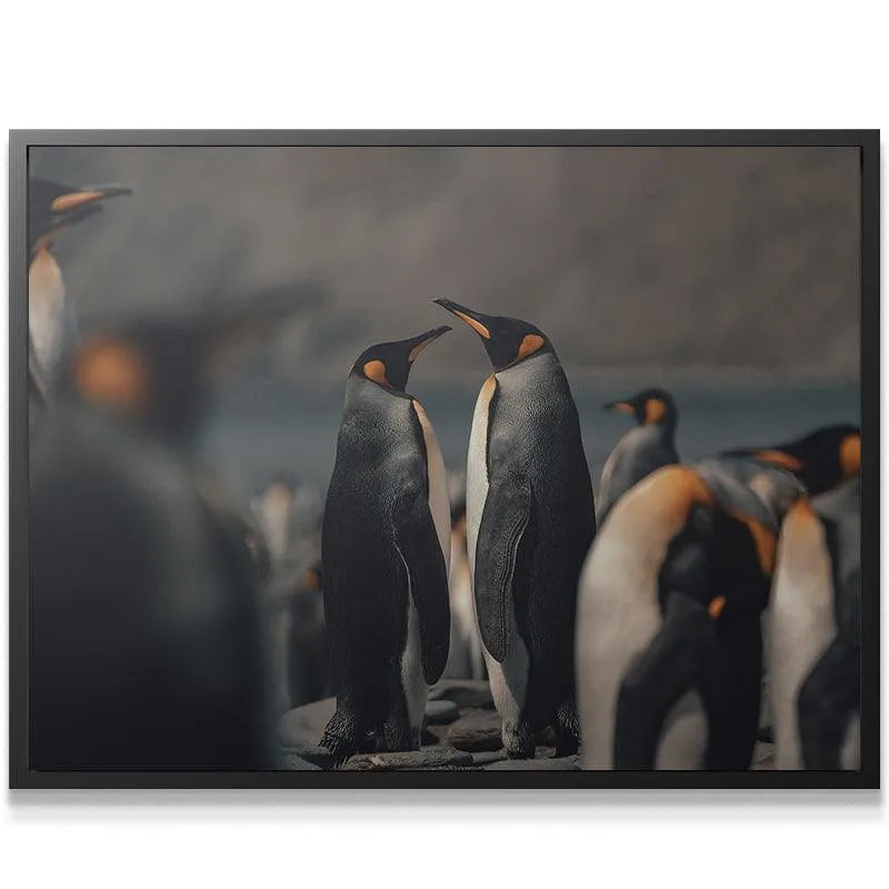 Moody, dramatic lighting on the feather texture of 'The Kings' art print.