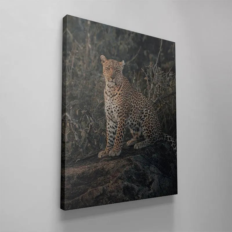 Fine art print of 'The Leader' showcasing the depth and clarity of the professional wildlife photography.