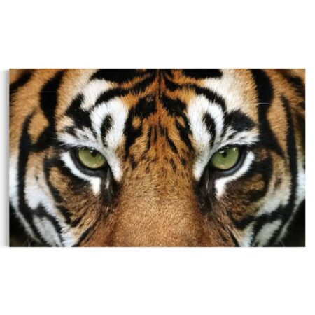 tiger-art-canvas