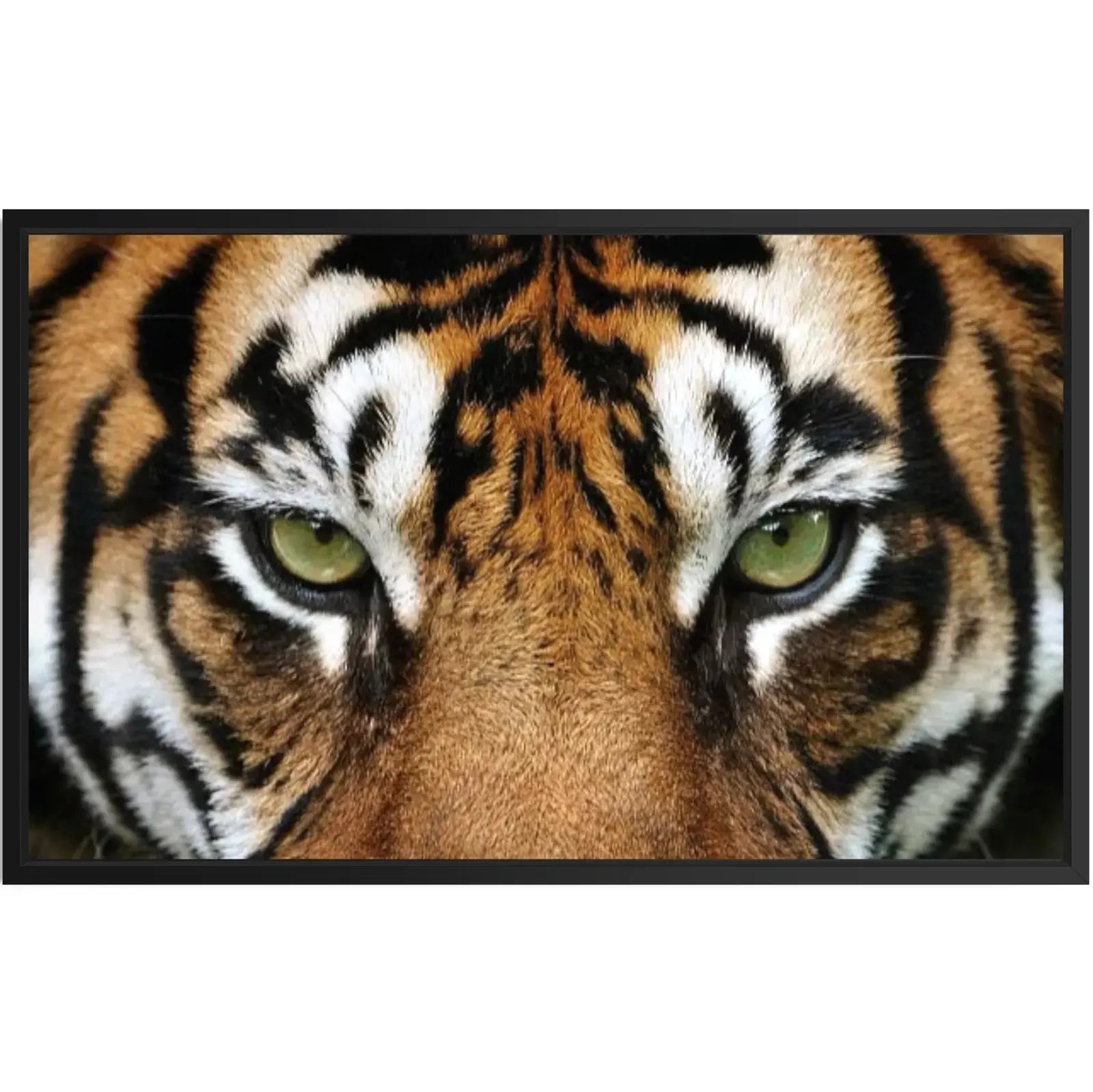 tiger eyes