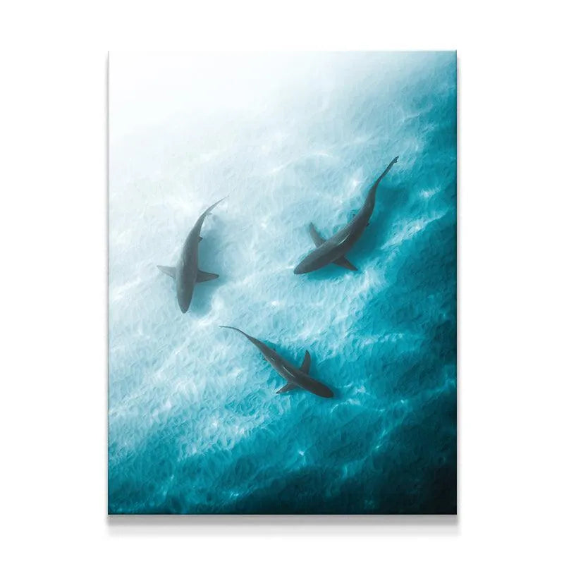 Aerial view perspective of the 'Triple Threat' shark artwork gliding through clear water.