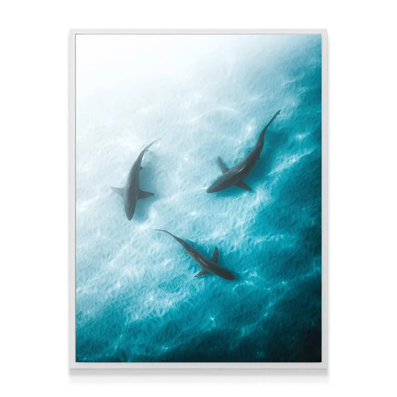 Full display featuring the three shark shadows in the powerful 'Triple Threat' canvas print.