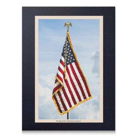 Close-up view of the brass eagle finial and golden tassels on the ceremonial USA Flag 2 print.