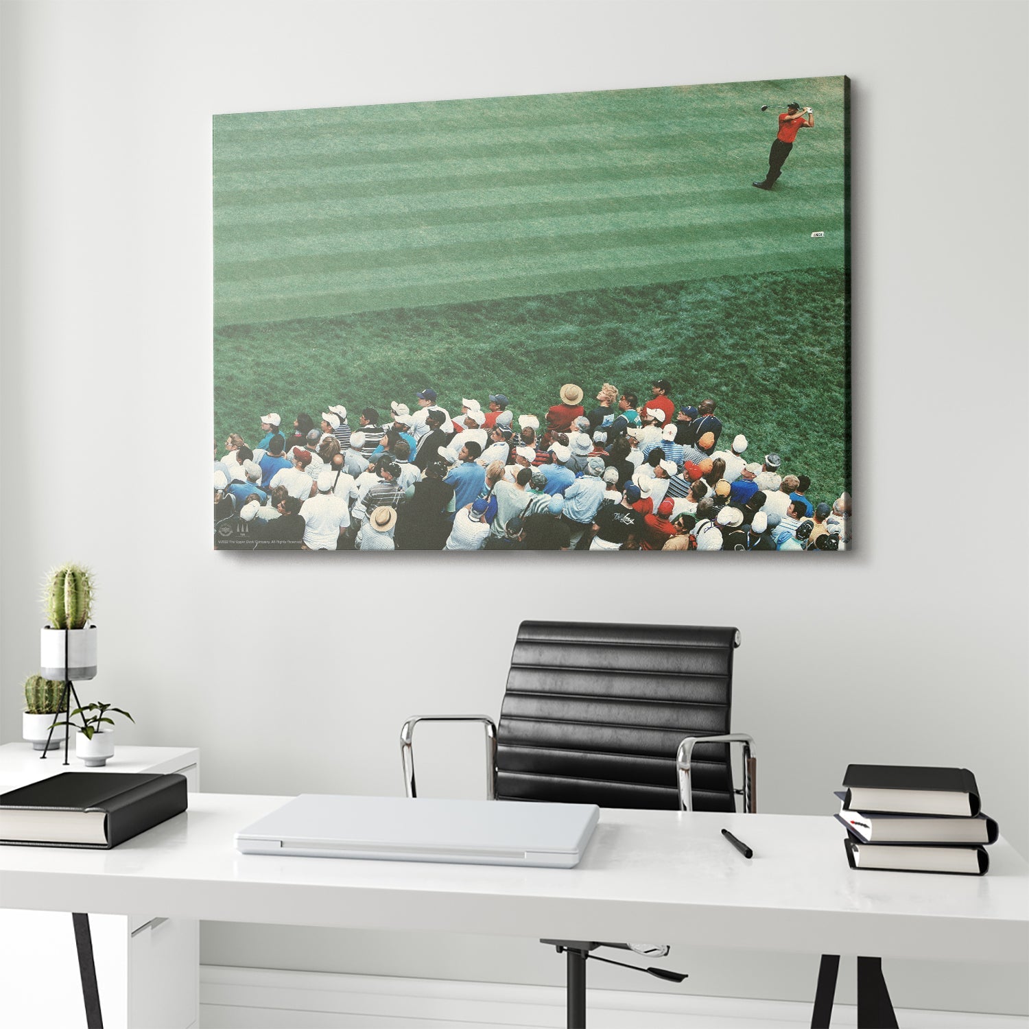 Tiger Woods - Distance - Image 4