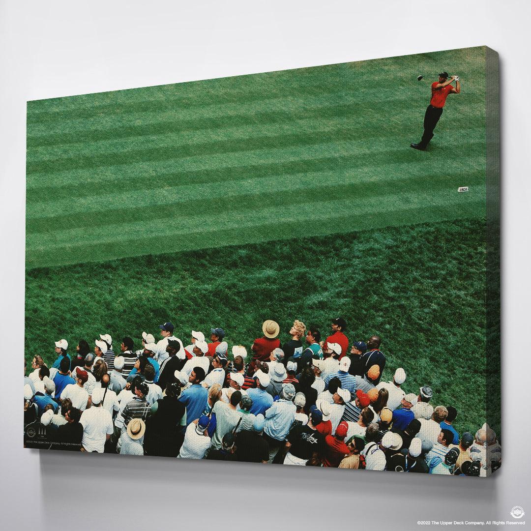 Tiger Woods - Distance - Image 5