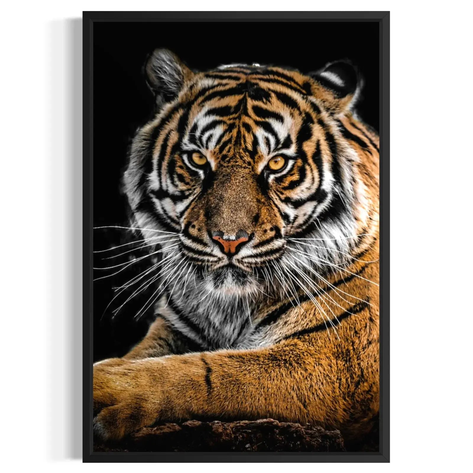 wildlife artwork